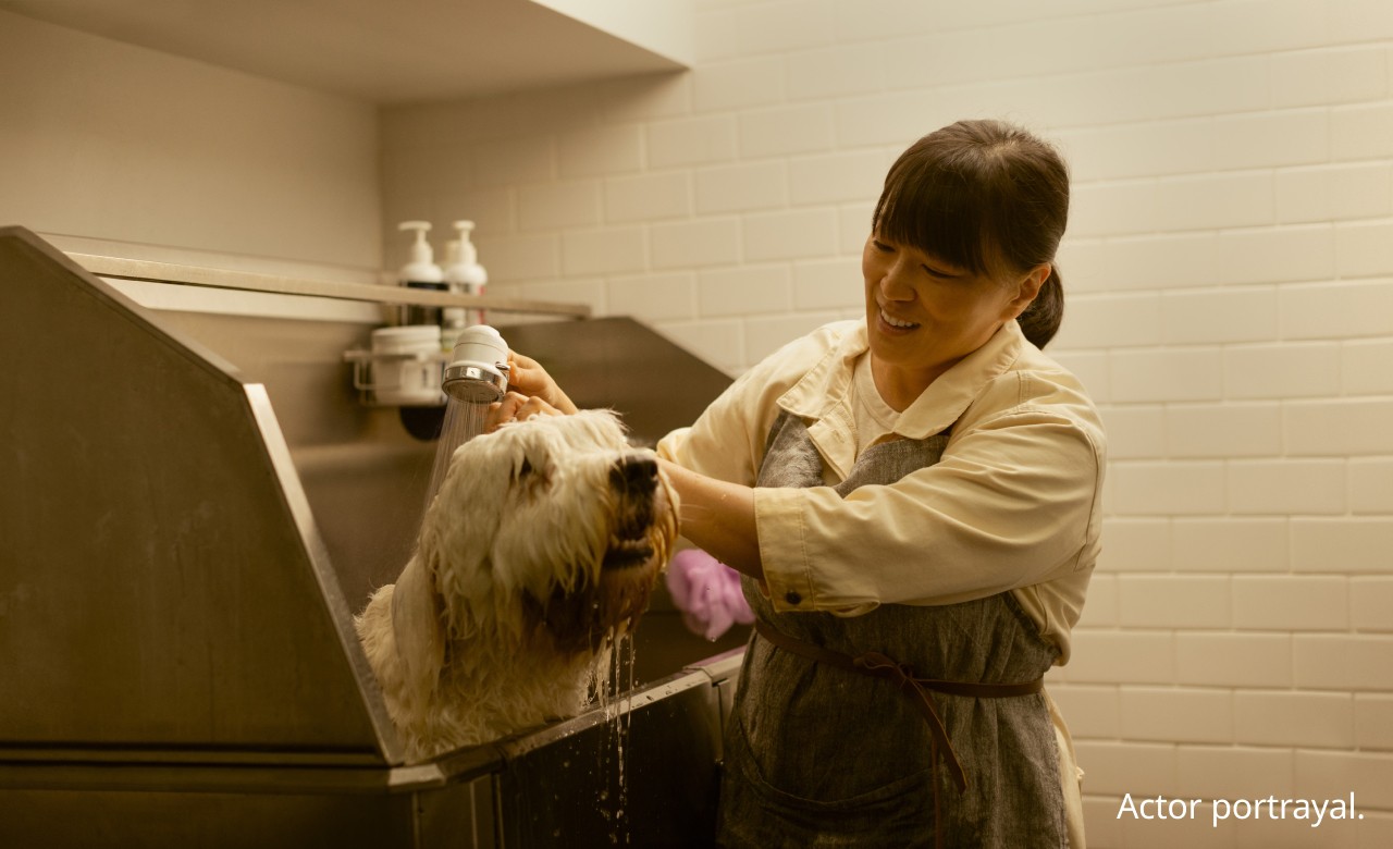 Woman washing a dog 